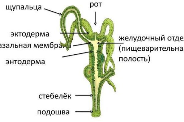 Не получается зайти на кракен